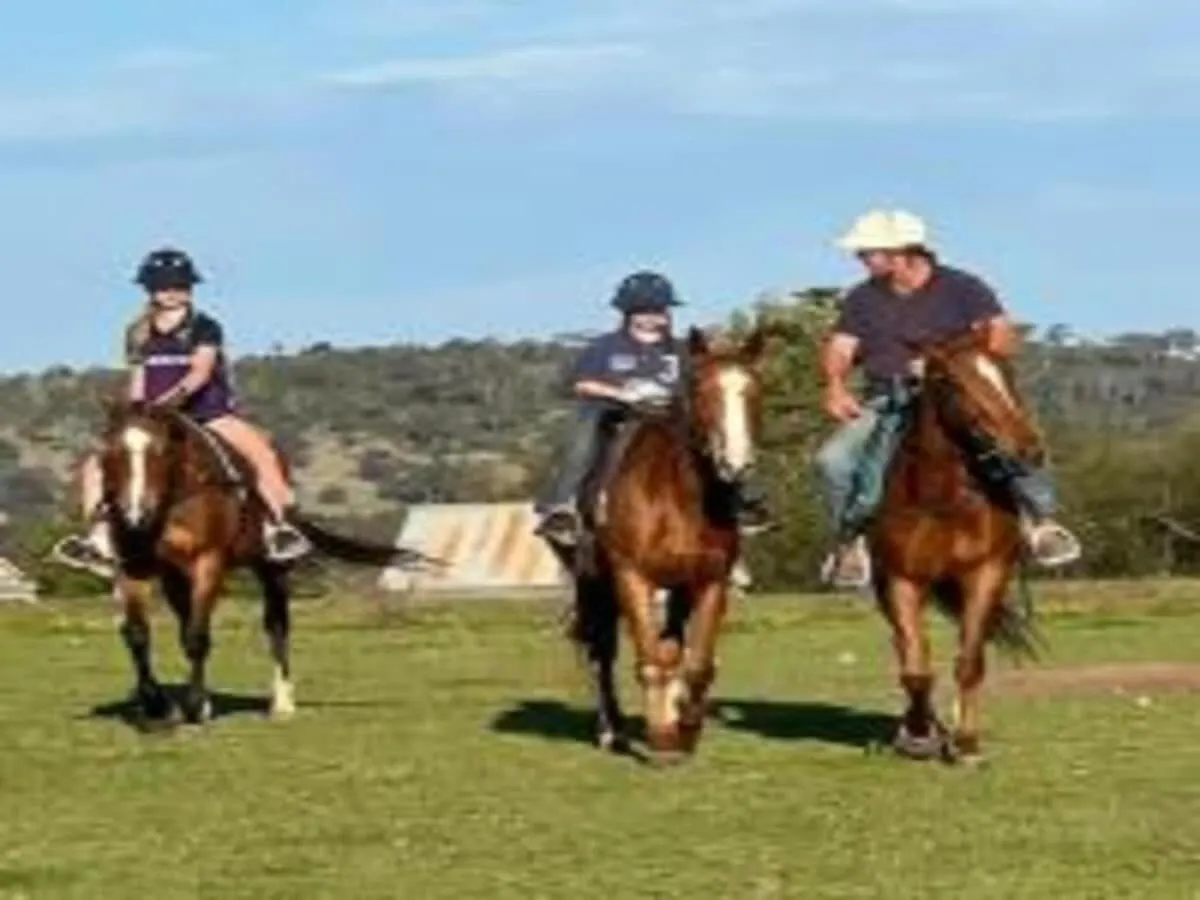 Toowoomba Valley Views By Tiny Away Gowrie Little Plain Australia